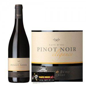 Vang Pháp Pinot Noir Pays dOc Elegance uống ngon bn2