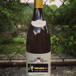 Vang Pháp Saint Joseph Les Oliviers cao cấp bn3