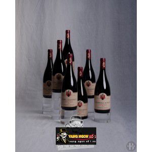 Vang Pháp Gevrey Chambertin Cuvee de lAbeille Domaine Ponsot uống ngon bn2