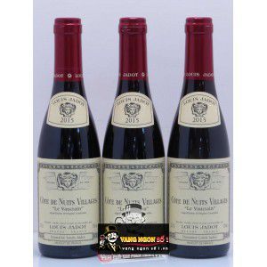 Vang Pháp Côte De Nuits Villages Le Vaucrain uống ngon bn1