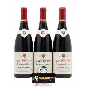 Vang Pháp Domaine Faiveley 1er Cru thượng hạng bn1