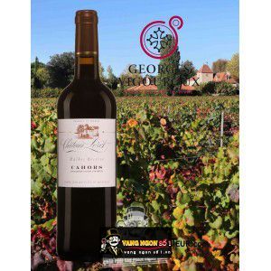 Vang Pháp Chateau Leret Malbec Reserve uống ngon bn1