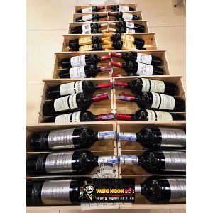 Vang Pháp Chateau Troupian Haut Medoc cao cấp bn2