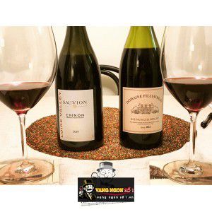 Vang Pháp Chinon Sauvion Loire Valley uống ngon bn1