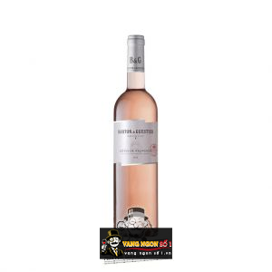 Vang Pháp Barton Guestier Cotes De Provence Passeport uống ngon