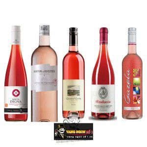 Vang Pháp Barton Guestier Cotes De Provence Passeport uống ngon bn3