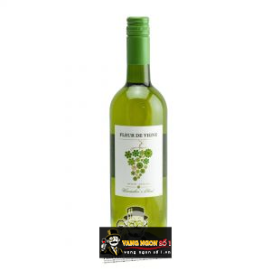 Vang Pháp Fleur de Vigne Barton & Guestier uống ngon bn1