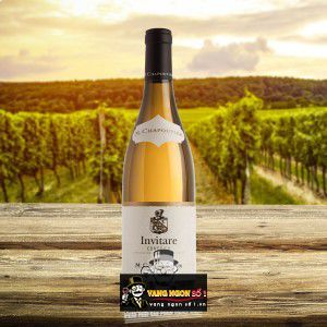 Vang Pháp Invitare Condrieu M Chapoutier cao cấp bn2