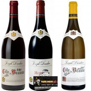 Vang Pháp Joseph Drouhin Beaune Clos Des Mouches uống ngon bn1