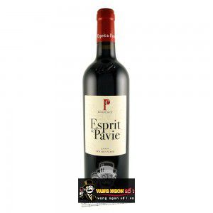 Vang Pháp Esprit de Pavie Merlot Bordeaux thượng hạng