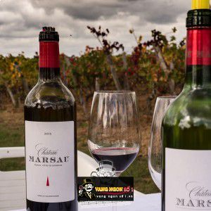 Vang Pháp Chateau Marsau Cotes de Francs Bordeaux thượng hạng bn3