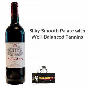 Vang Pháp La Gamaye Chateau Cotes de Blaye uống ngon bn2