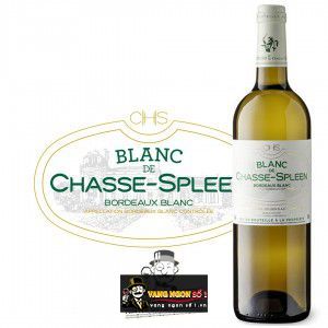 Vang Pháp Blanc de Chasse Spleen Bordeaux Blanc cao cấp bn1