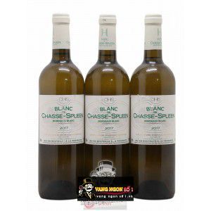 Vang Pháp Blanc de Chasse Spleen Bordeaux Blanc cao cấp bn2