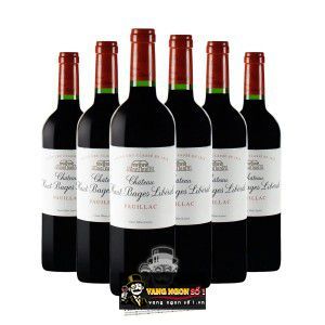 Vang Pháp Chateau Haut Bages Liberal Pauillac uống ngon bn1