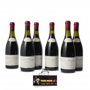 Vang Pháp Nuits St Georges Aux Lavieres Domaine Leroy uống ngon bn2