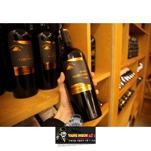 RƯỢU VANG Ý VESUVIUS ROSSO PUGLIA  cao cấp bn2