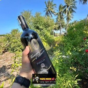 VANG Ý 10 FIAMMA D‘AMORE NEGROAMARO PUGLIA uống ngon bn2