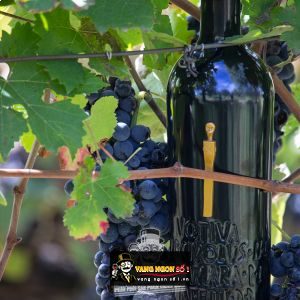 Rượu vang Votiva Campi Taurasini DOC uống ngon bn3