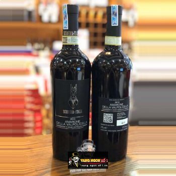 Vang Ý Amarone Della Valpolicella bn1