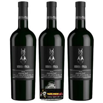 Vang Ý Amarone Della Valpolicella bn2