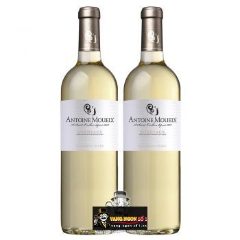 Vang Pháp Antoine Moueix Bordeaux Blanc uống ngon bn1
