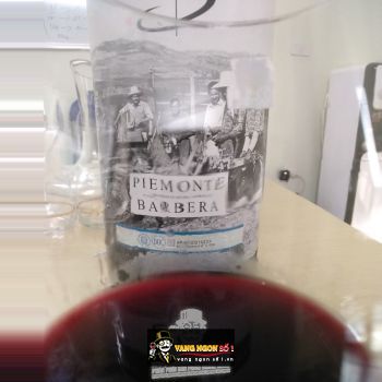 Rượu vang Bịch Ý Boeri Piemonte Barbera DOC 3L bn3