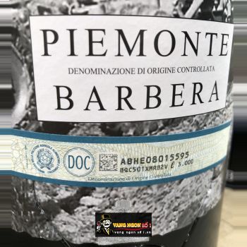 Rượu vang Bịch Ý Boeri Piemonte Barbera DOC 3L bn2