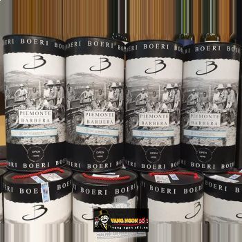 Rượu vang Bịch Ý Boeri Piemonte Barbera DOC 3L bn1