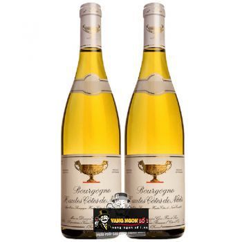Vang Pháp Bourgogne Hautes Cotes de Nuits cao cấp bn2