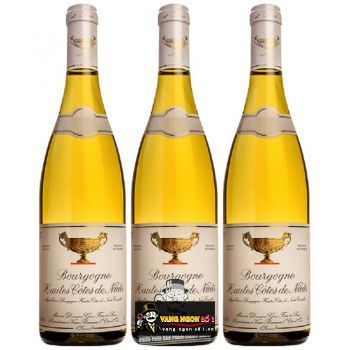 Vang Pháp Bourgogne Hautes Cotes de Nuits cao cấp bn1
