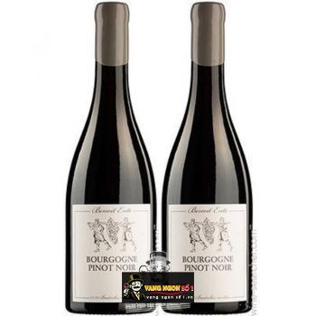 Vang Pháp Bourgogne Pinot Noir Benoit Ente thượng hạng bn1