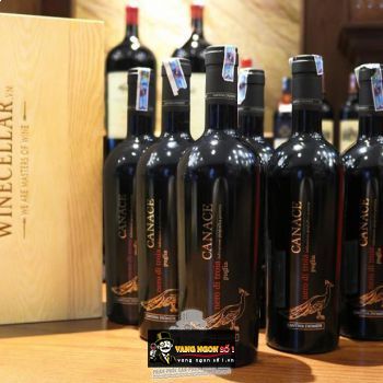 Rượu Vang Ý CANACE NERO DI TROIA bn2