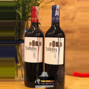 Vang Chile CARMEN TOLTEN CABERNET SAUVIGNON bn1