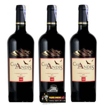 Vang Chile Cas Andes Central Valley bn1