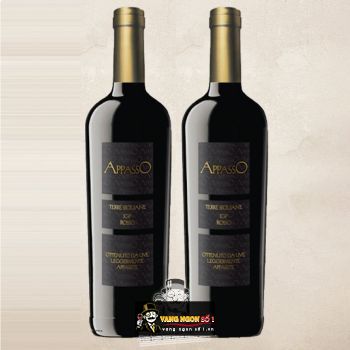 Rượu vang Ý Castegiocondo Campo Ai Sassi Rosso Di Montalcino cao cấp bn1