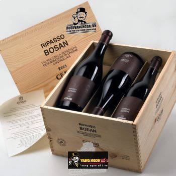Vang Cesari Bosan Valpolicella Ripasso Superiore bn1