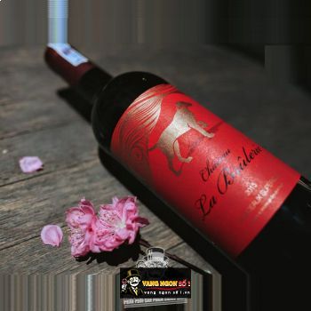 Vang Pháp Chateau La Brulerie Bordeaux bn2