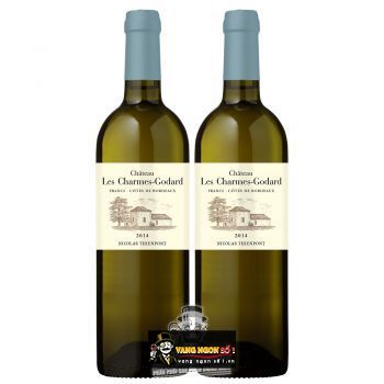 Vang Pháp Chateau Puygueraud Francs Cotes de Bordeaux thượng hạng bn1