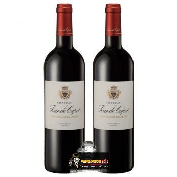 Vang Pháp Chateau Tour de Capet Antoine Moueix bn1