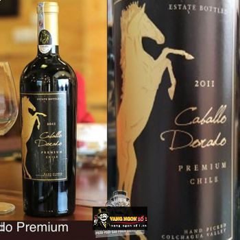Vang Chile Caballo Dorado Premium Carmenere Syrah Colchagua Valley bn3