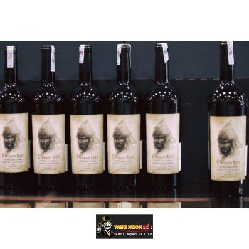 Vang Pháp Dragon Lord Cabernet Sauvignon bn2