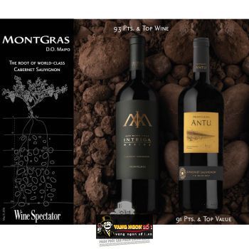 Vang Chile MontGras INTRIGA MAXIMA bn3