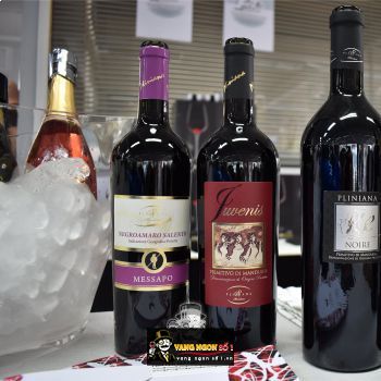 Vang Ý Messapo Negroamaro Salento bn3