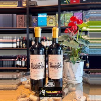 Rượu vang Pháp Montros Bordeaux Uống ngon bn1