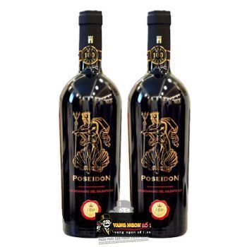Rượu vang Ý Poseidon Negroamaro del Salento bn1