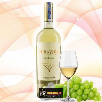 Rượu vang Chile Pura Vida Gran Reserva Chardonnay 15 bn2