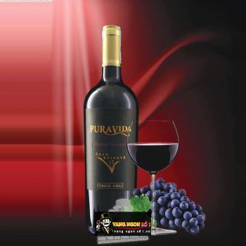 Rượu Vang Chile PURAVIDA PRIVATE SELECTION Cabernet Sauvignon 24 bn1