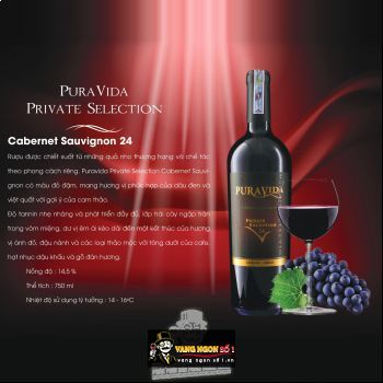 Rượu Vang Chile PURAVIDA PRIVATE SELECTION Cabernet Sauvignon 24 bn2