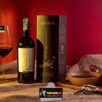Rượu Vang Ý CANACE NERO DI TROIA bn1